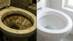 Kein Geruch von Abwasser oder Urin: Life-Hacks, um Gerüche im Badezimmer in fünf Minuten zu beseitigen