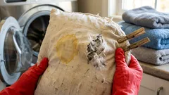 Federkissen waschen ohne Klumpen: so bleiben Daunen und Federn fluffig